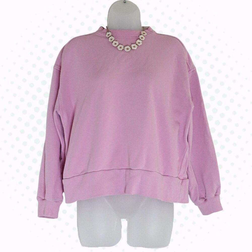 Everlane Light Bubblegum Pink 100% Cotton Crew Neck PulloverSweatshirt Size S